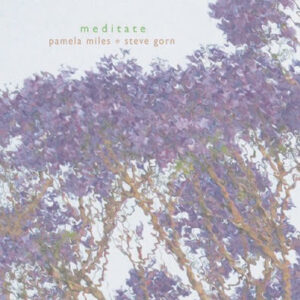 Meditate-CD-Visual